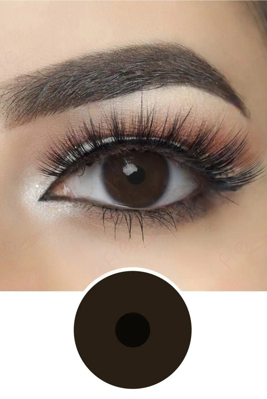 Prosthetic Lens for Demage Eye