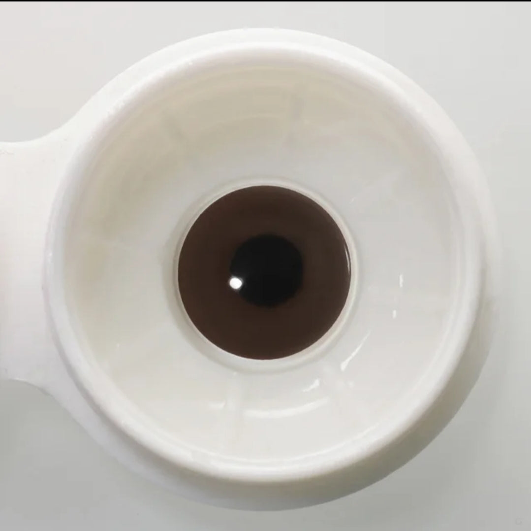 Prosthetic Lens for Demage Eye