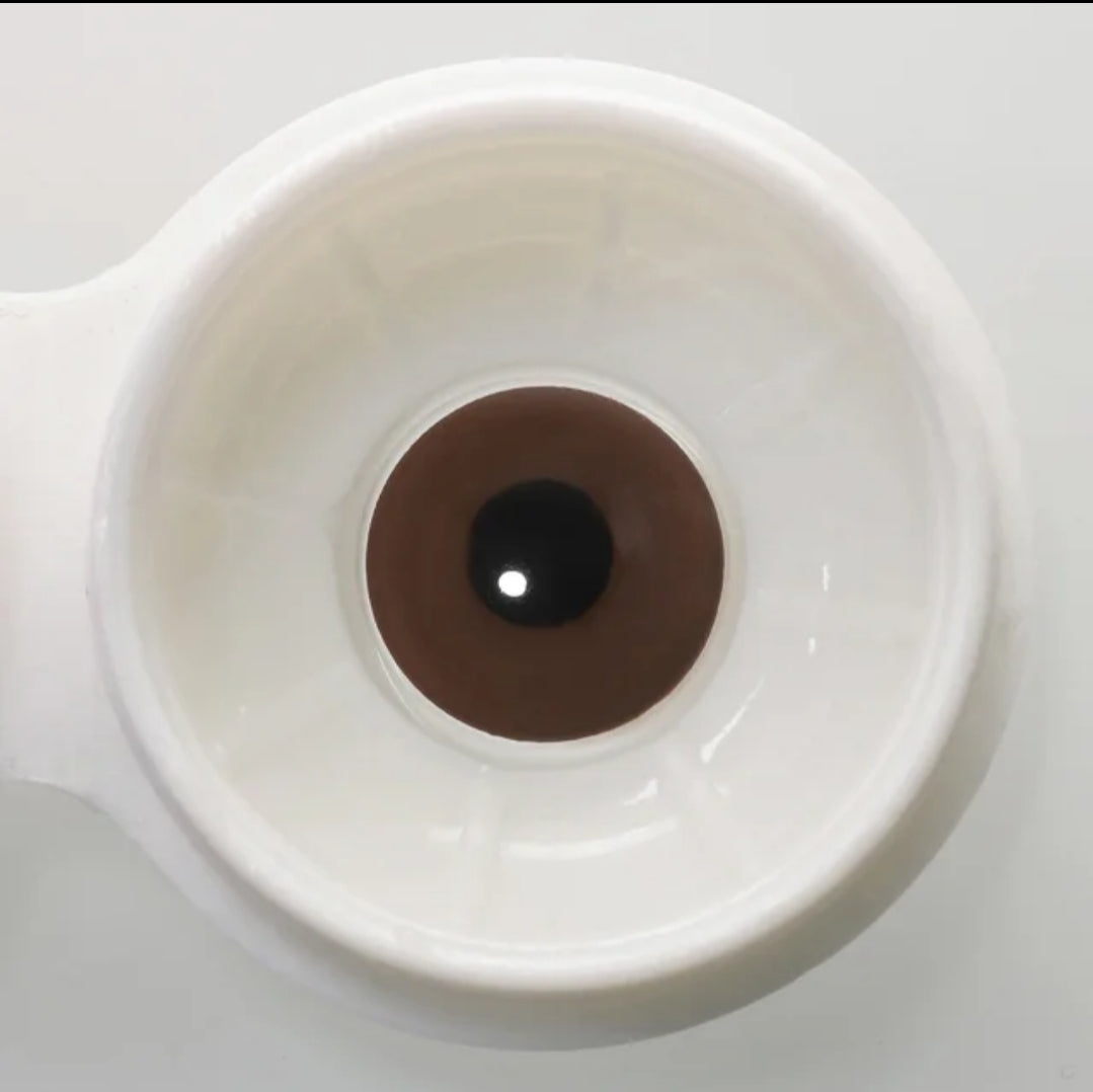 Prosthetic Lens for Demage Eye